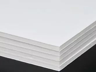 PS Foaming Parallel Twin-Screw